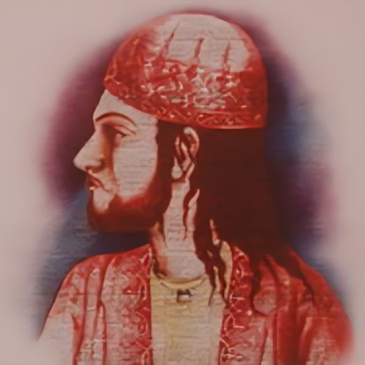 Miyan Momin, Hakim Momin Khan Momin